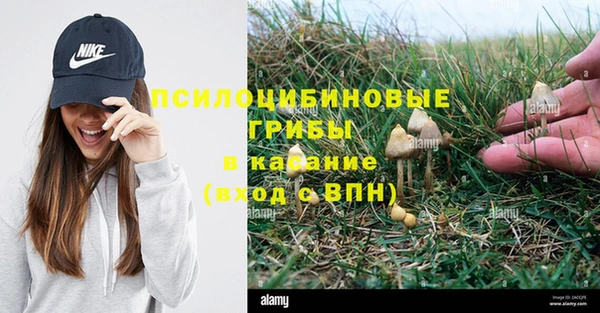 винт Бикин