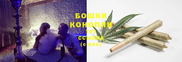 твердый Новодвинск