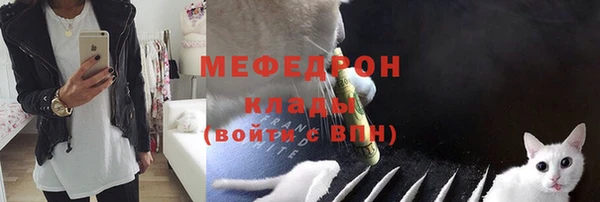 мдпв Ельня