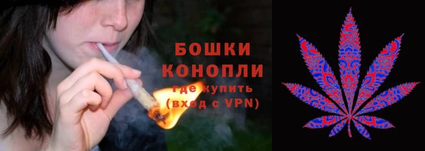 винт Бикин