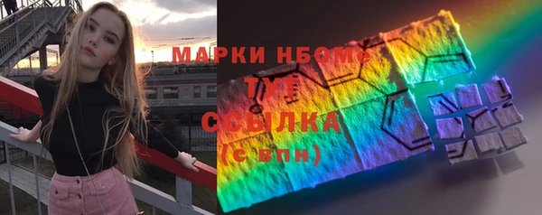 мдпв Ельня