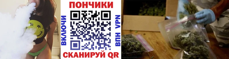 Бошки Шишки ГИДРОПОН  магазин продажи   Болхов 